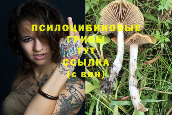 спайс Алзамай