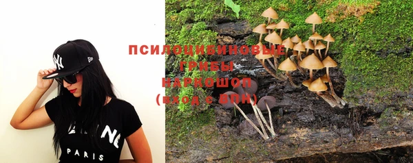 прущие крисы Алексеевка