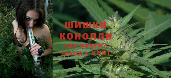 спайс Алзамай