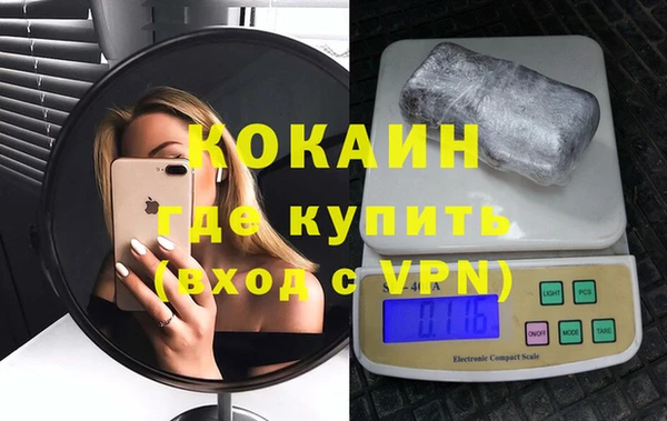 спайс Алзамай