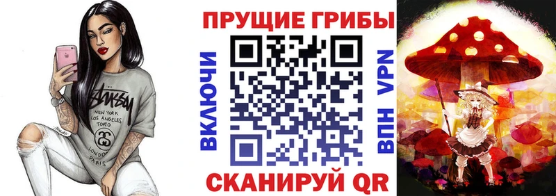 Галлюциногенные грибы Psilocybe  наркота  МЕГА сайт  Усть-Илимск 